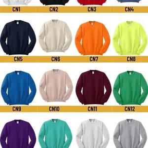 Hoodie/Sweatshirt Customized by YOU!