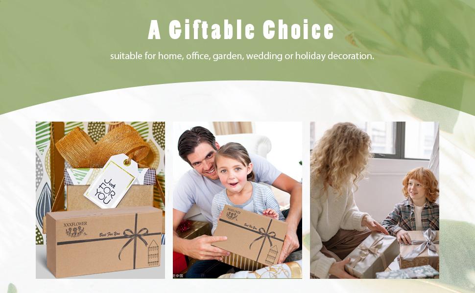 XXXFLOWER Extra Large Wooden Hanging Propagation Tubes 15 Vases Ready to Gift Indoor Plant Station Set for Easy Propagation & Decor