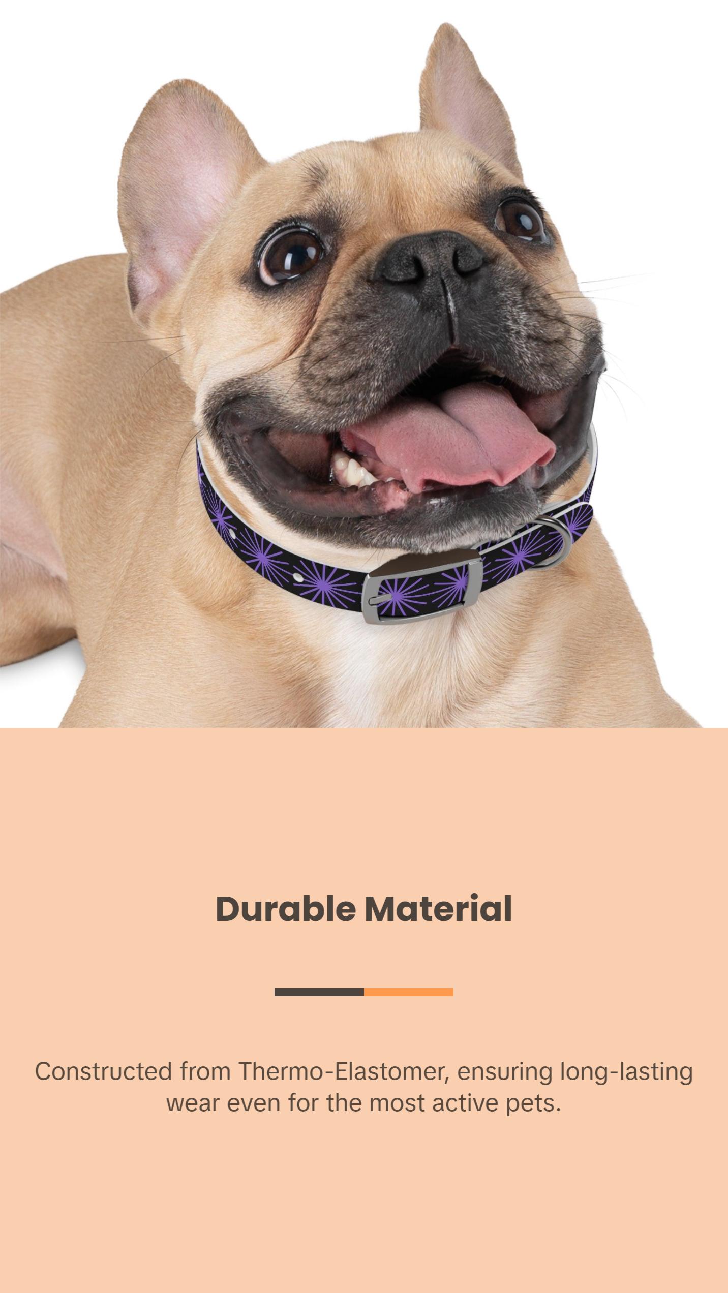 Black and purple star dog collar