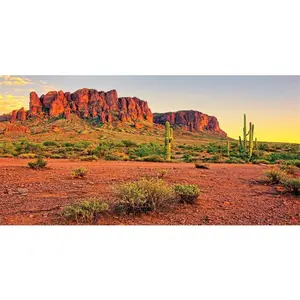 AWERT 72x16 inches Reptile Habitat Background Sky Oasis Mountain Cactus Sun and Desert Terrarium Background Durable Polyester Background