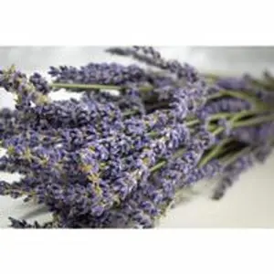 Natural Dried Lavender Bouquet