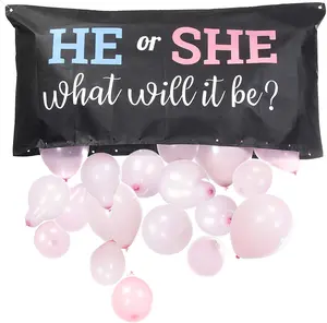 Gender Reveal Balloon Drop Bag I He or She What will it Be? Gender Reveal Balloons