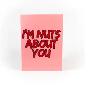I'm Nuts About You Pop-Up Card - 3D Figure Design for Valentine's Day, Anniversaries, or Romantic Notes - Perfect for Partners with a Warped Sense of Humor