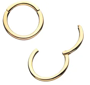 14Kt Yellow Gold Basic Hinged Segment Clicker