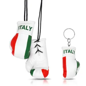 Mini Boxing Gloves - Italian Flag Theme, Car Rearview Mirror Accessories, Key Chain Also Included