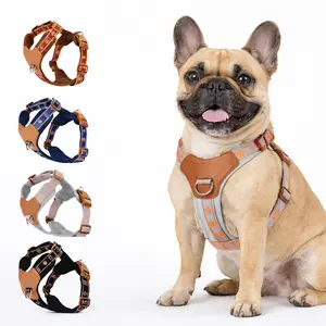 rabbitgoo Dog Harness  Leash Set, Step in Soft Light Puppy