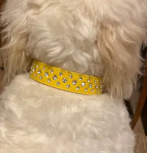 Yellow Bling Dog Collar