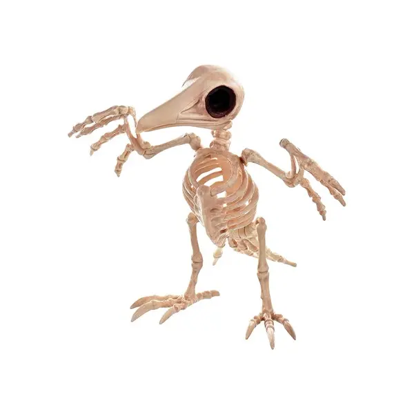 10.5" Creepy Skeleton Raven Halloween Prop