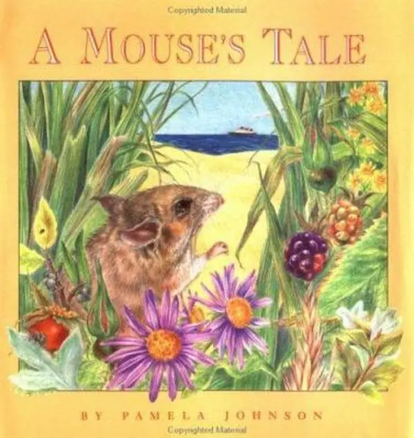 USED Book - A Mouse's Tale by Pamela Johnson (Hardcover) - english