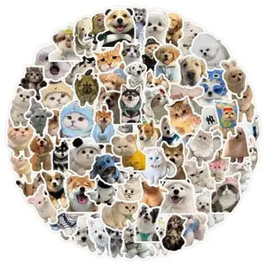 Funny Stickers for Adults Waterproof Vinyl Sarcastic Meme Decals for Laptop Water Bottle Hard Hats  Kindle Journal Scrapbook Bumper Skateboard Luggage No Repeats