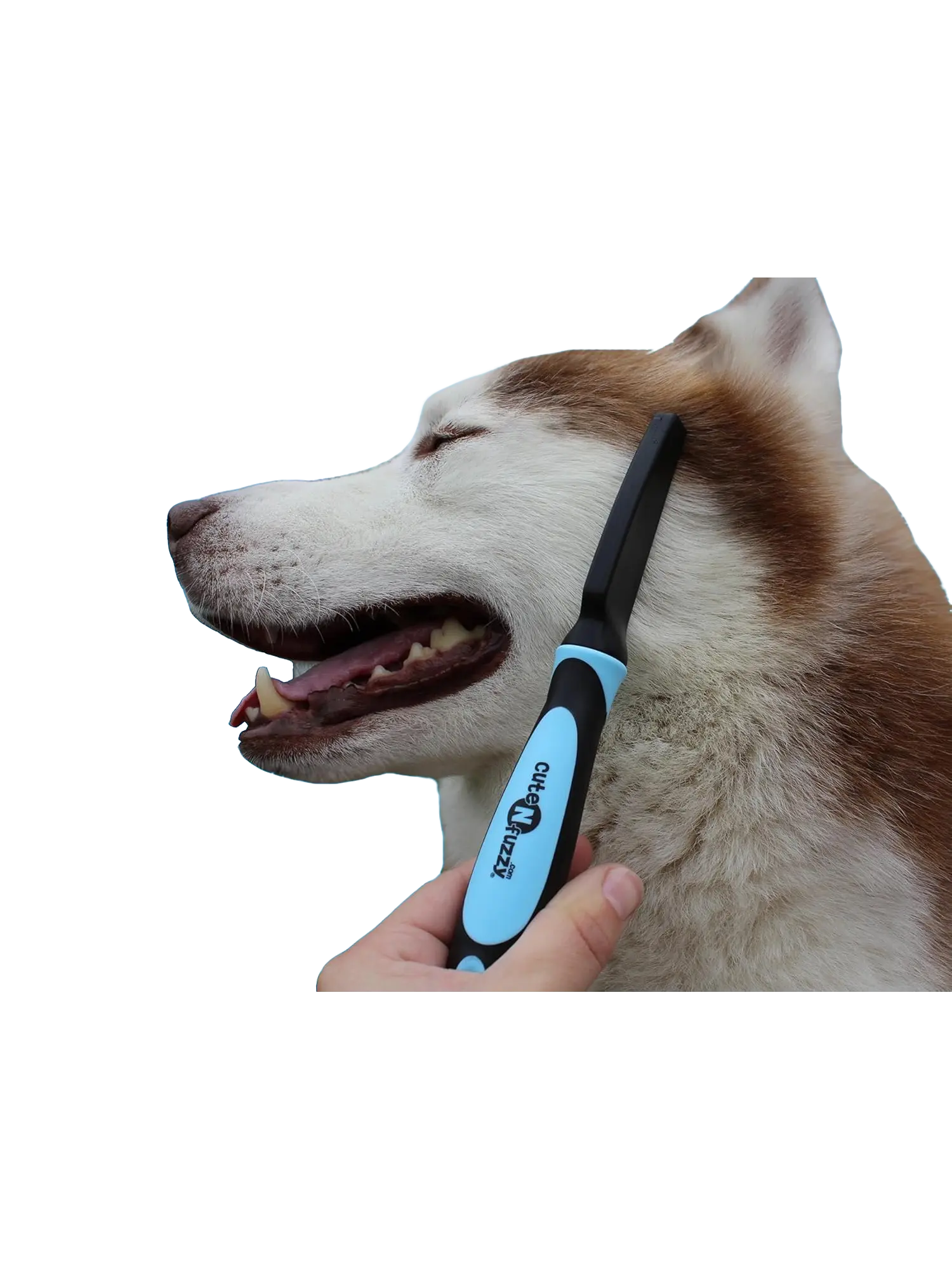 cuteNfuzzy Pet Flea Comb with Stainless Steel Pins - Eco-Friendly Daily Use Product for Cats & Dogs, Blue, Enhances Blood Circulation
