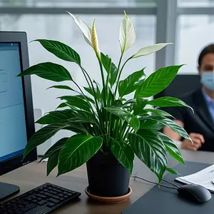 Two Realistic Fluffy Flower Plants, Low Maintenance Fake Flowers, All-Season Home Office Hotel Decor, Ideal for Weddings and Holidays