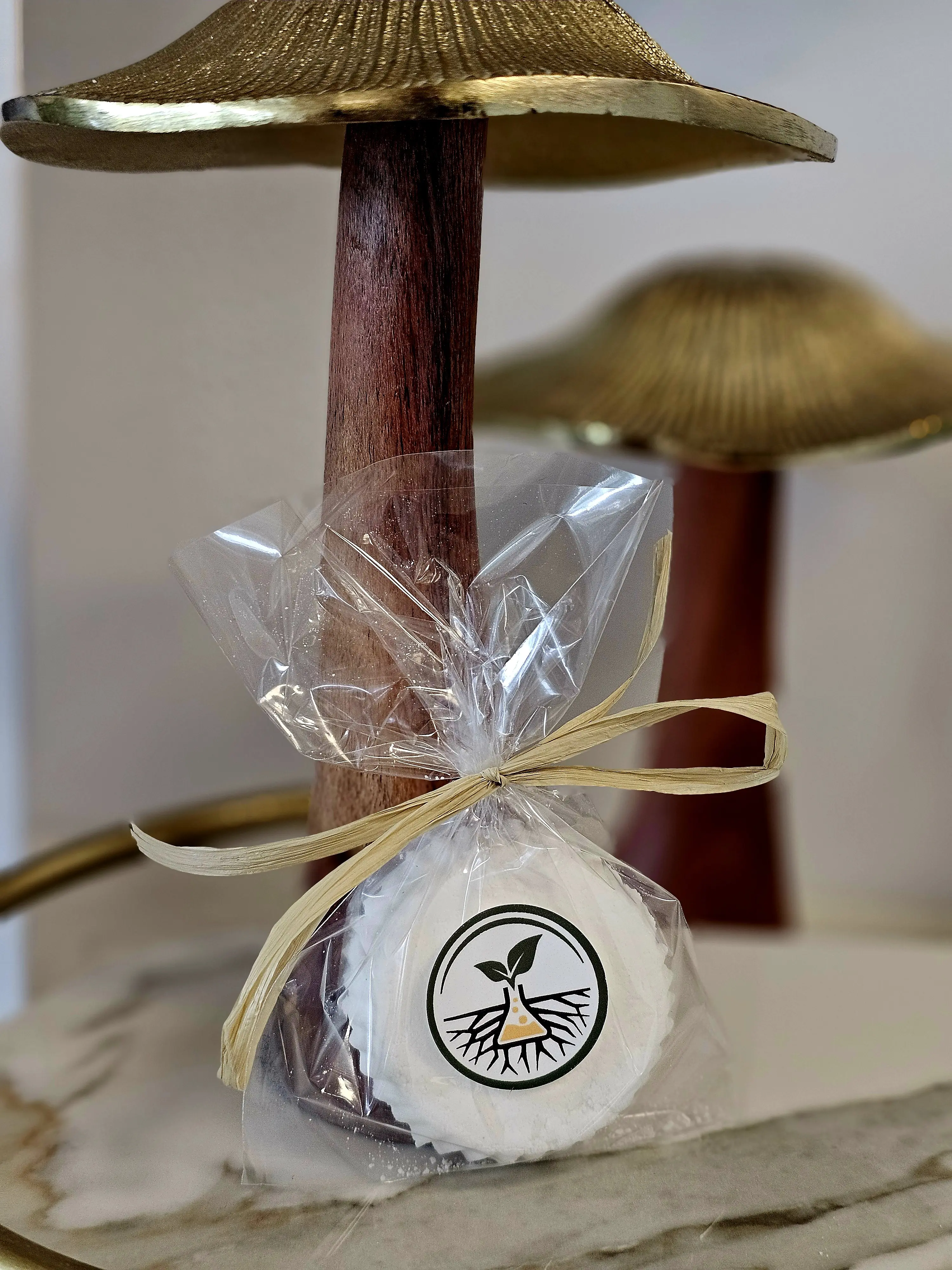 Shower Steamers- Aromatherapy- Stress Relief
