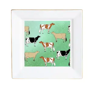 Ceramic Plate Square Dinner Plates Appetizer Plates