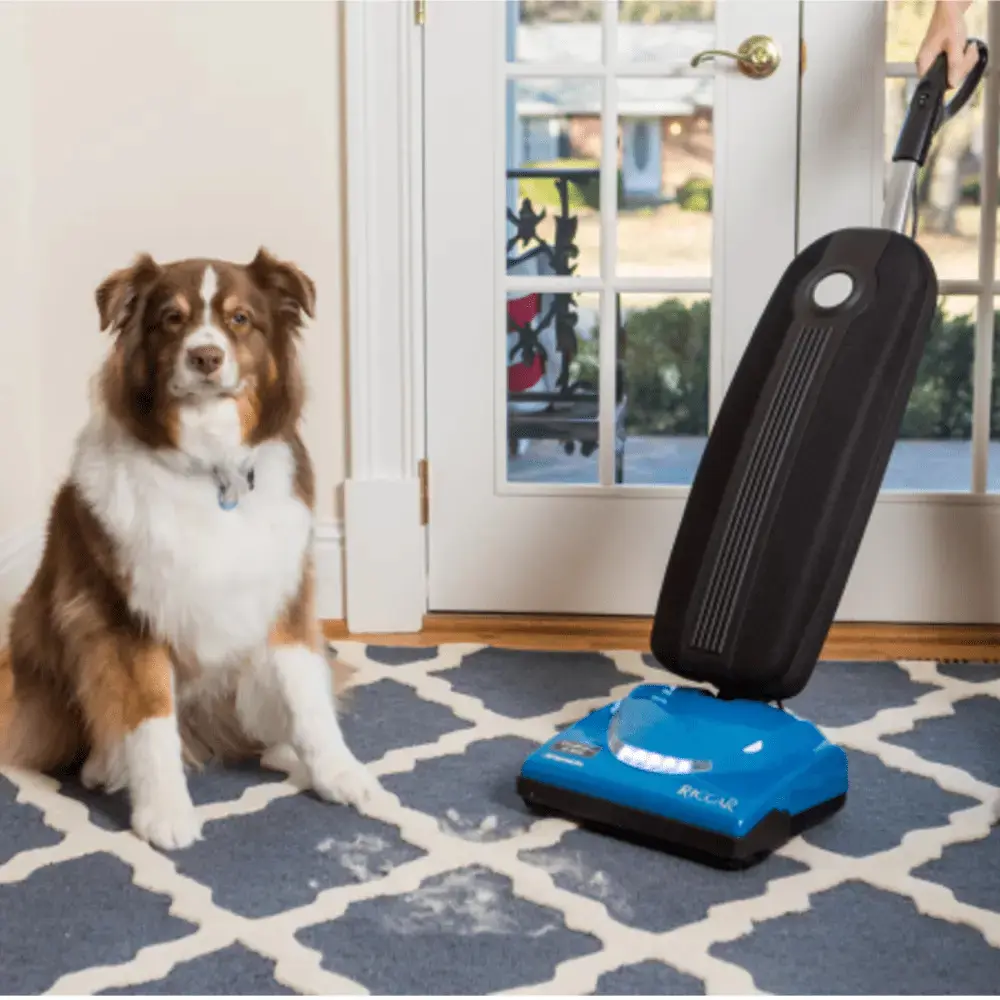 Riccar SupraLite R10CV Rechargeable Cordless Lightweight Upright Vacuum Cleaner - 44V Lithium-Ion, 11 lbs, 14.2L, HEPA Filter, Up to 50 Mins Runtime, Yes, Manufacturer Warranty for Household Floor Care