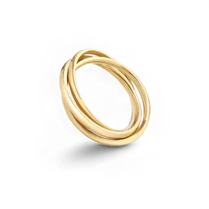 Dainty Interlocking Fidget Ring Dainty Interlocking Fidget Ring