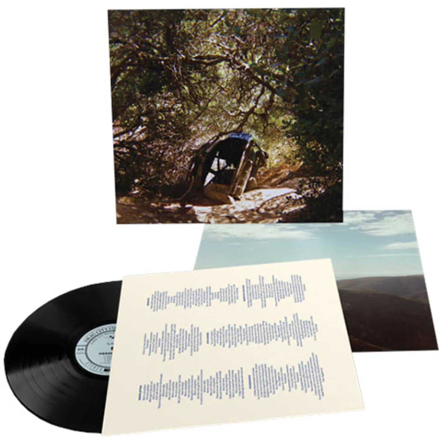 Ty Segall - Possession  [VINYL RECORD - LP]