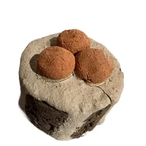 D-CRUJIDOS Nevado Clay Figure with Kaolin Made in Mexico Authentic Handcrafted Artisanal