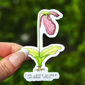 Pink Lady's Slipper Sticker- thick, high quality vinyl, dishwasher tested, scratch and fade resistant, waterproof sticker