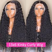 13x6 Kinky Curly Wig
