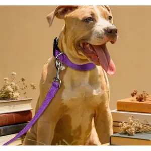 Paw Print Reflective Strip Nylon Dog Collar For Pets, Adjustable Size For Small, Medium And Large Dogs,Specialized pet collars: dog collars, cat collars. Features: reflective, anti-choke, anti-pull,Suitable for all seasons . retractable leashes,Tag Holder