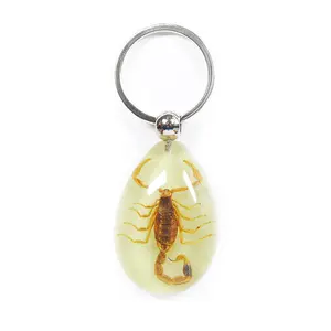 Glow In The Dark Pendant Keychain with Real Brown Scorpion