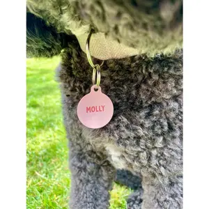 Pastel Pet ID Tag | Custom Colourful Dog Tag | Personalised Colour Cat Name Tags