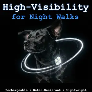 gogout Dog Collar Light, Rechargeable LED Dog Safety Light for Night Walking, Clip-On or Strap-On Pet Light for Collar, Harness and Leash, High Visibility, Water-Resistant, USB-C
