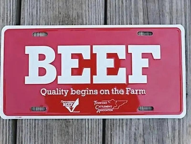 Vintage Eat more BEEF, Florida Beef Counsil, TCA BEEF Green/Red License Plate, 12x6 Aluminum US Made, Tag for Car Truck, Vehicle Accessories Gift