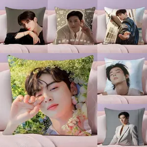 C-Cha E-Eun Woo Cushion Cover Soft Short Plush Fabric Double-Sided Print | Organic, Breathable,Sofa Pillow Case,Invisible zipper Mite Removal Durable Materia | Warm Winter Home Child Gift