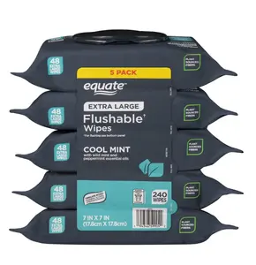 5 Pack Extra Large Flushable Wet Wipes, Mint, 240 Wipes