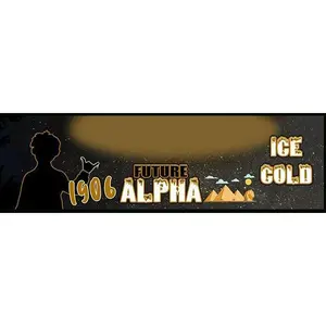 Future Alpha Phi Alpha Custom Print with Frame
