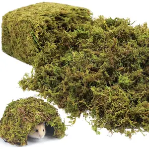 1.3LBS Artificial  Moss for   Indoor-  Faux Craft Moss for Potted ,  Green Moss Forest Moss for Hamsters -Landscape Terrariums Centerpieces Decor