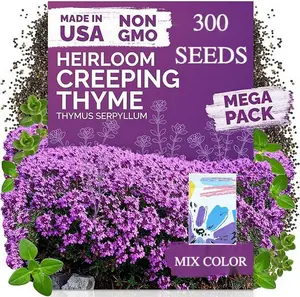 300 Creeping Thyme Seeds (Thymus Serpyllum) – Wild Thyme, Aromatic Ground Cover, Purple Perennial Flower Seed Packets – Great Non GMO Herb Seeds for Outdoor Garden, Landscapes & Paths outdoorfun