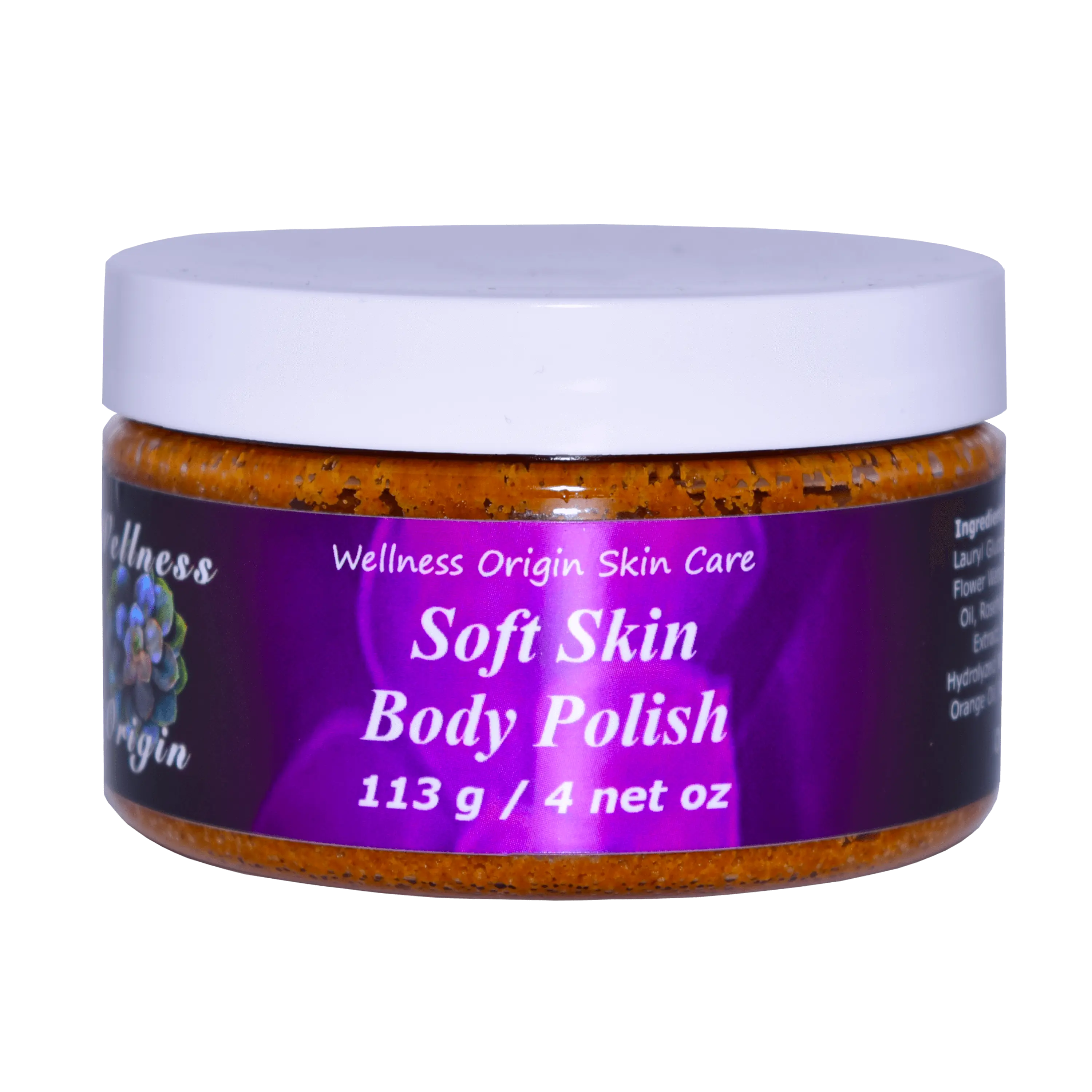 Wellness Origin Soft Skin Body Polish 4 oz - Gentle Exfoliation with Walnut Shell Powder & Organic Aloe Leaf Juice for Radiant Skin Care