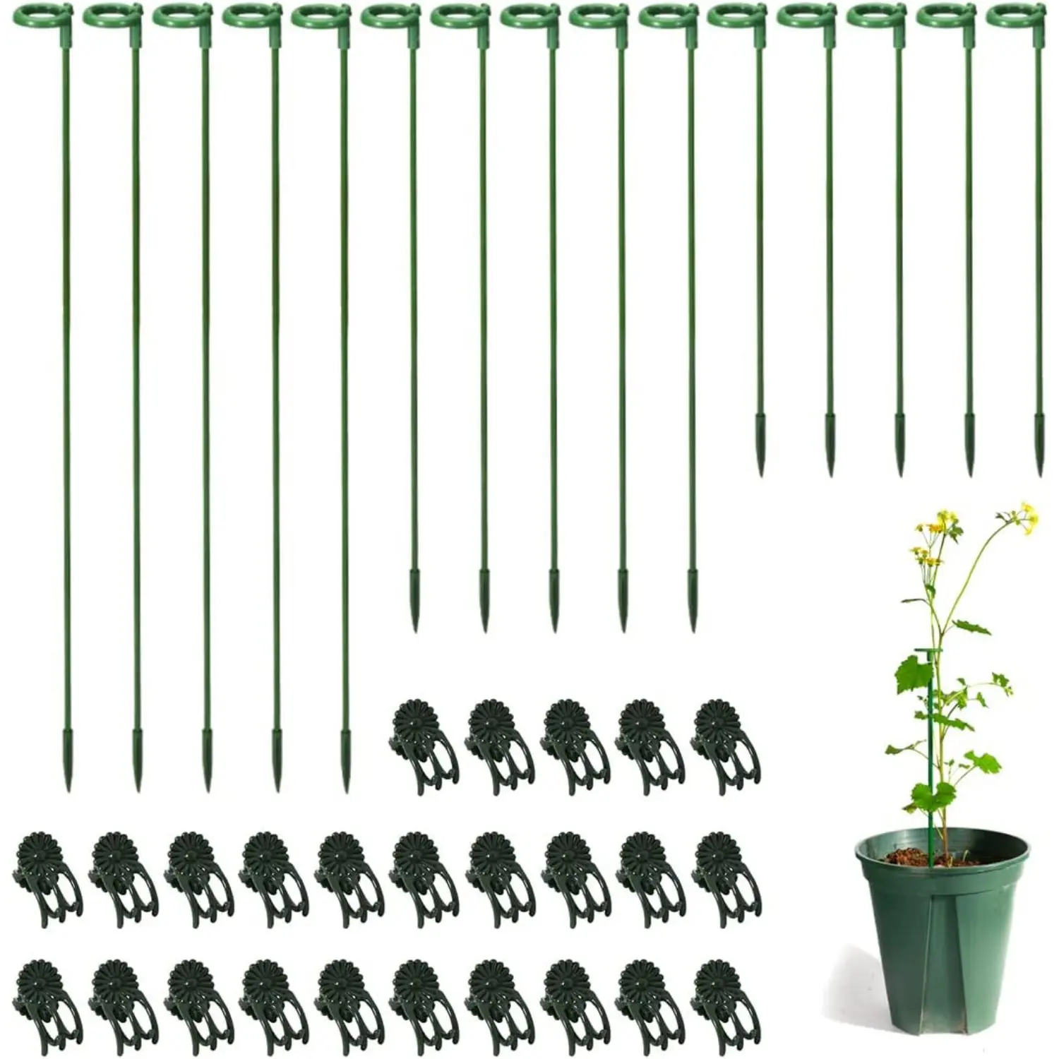 30 Pcs Plant Support Stakes with 30 Pcs Plant Clips Garden Floral Flower Support Single Stem Support Stake for Phalaenopsis Orchid Flower Roses Amaryllis perfect gardening gift peony cages outdoor use cucumber trellis tomato planter pot