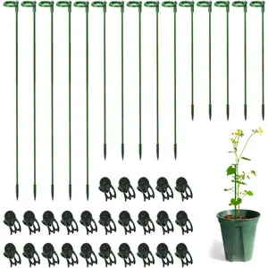 30 Pcs Plant Support Stakes with 30 Pcs Plant Clips Garden Floral Flower Support Single Stem Support Stake for Phalaenopsis Orchid Flower Roses Amaryllis perfect gardening gift peony cages outdoor use cucumber trellis tomato planter pot