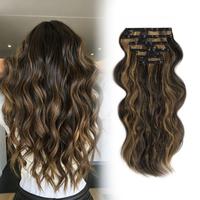 Black With Caramel Blonde  Highlights