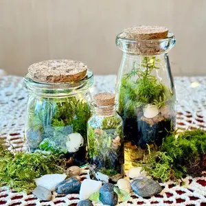 Terrarium Kit with 3 Jars-II Edition Organic Live Moss, Glass Bottles with Cork Lids, Complete Terrarium DIY Kit, Birthday, Gift, Men's Gift