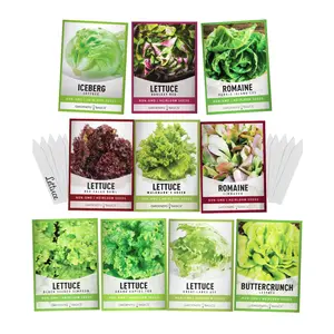 Salad Greens Lettuce Seeds For Planting Assortment 10 Variety Pack - Romaine, Loose Leaf, Hydroponics, Gardening Home Planting
