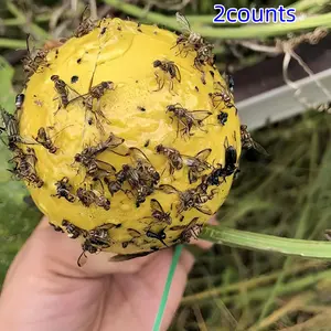 2 Pack Hanging Fly Trap Balls, Fly Traps Indoor, Sticky Fruit and Wasp Catcher, Plant Safe, No Power Needed, Effective Pest Control Solution