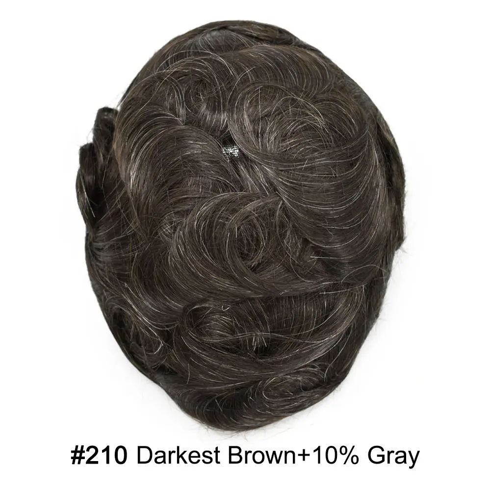 #210 Darkest Brown+10% Gray