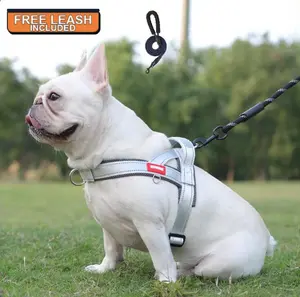 Lumipet No Pull Dog Harness with Handle, Breathable Mesh Soft Padded Vest Harness, No Choke Neck-Friendly Design & Step in Easy On Off, Escape Proof Tactical Dog Harness for Small Medium Large Dogs Daily Walking Training