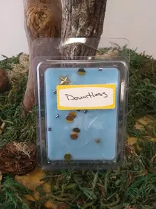 Dauntless - Wax Melt - Clamshell