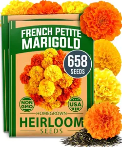 Petite French Marigold Seeds 658 Flower Seeds for Planting Outdoor Easy to Grow Companion Plant & Quick Blooming Pollinator Heirloom Wildflower Seeds (Tagetes patula)