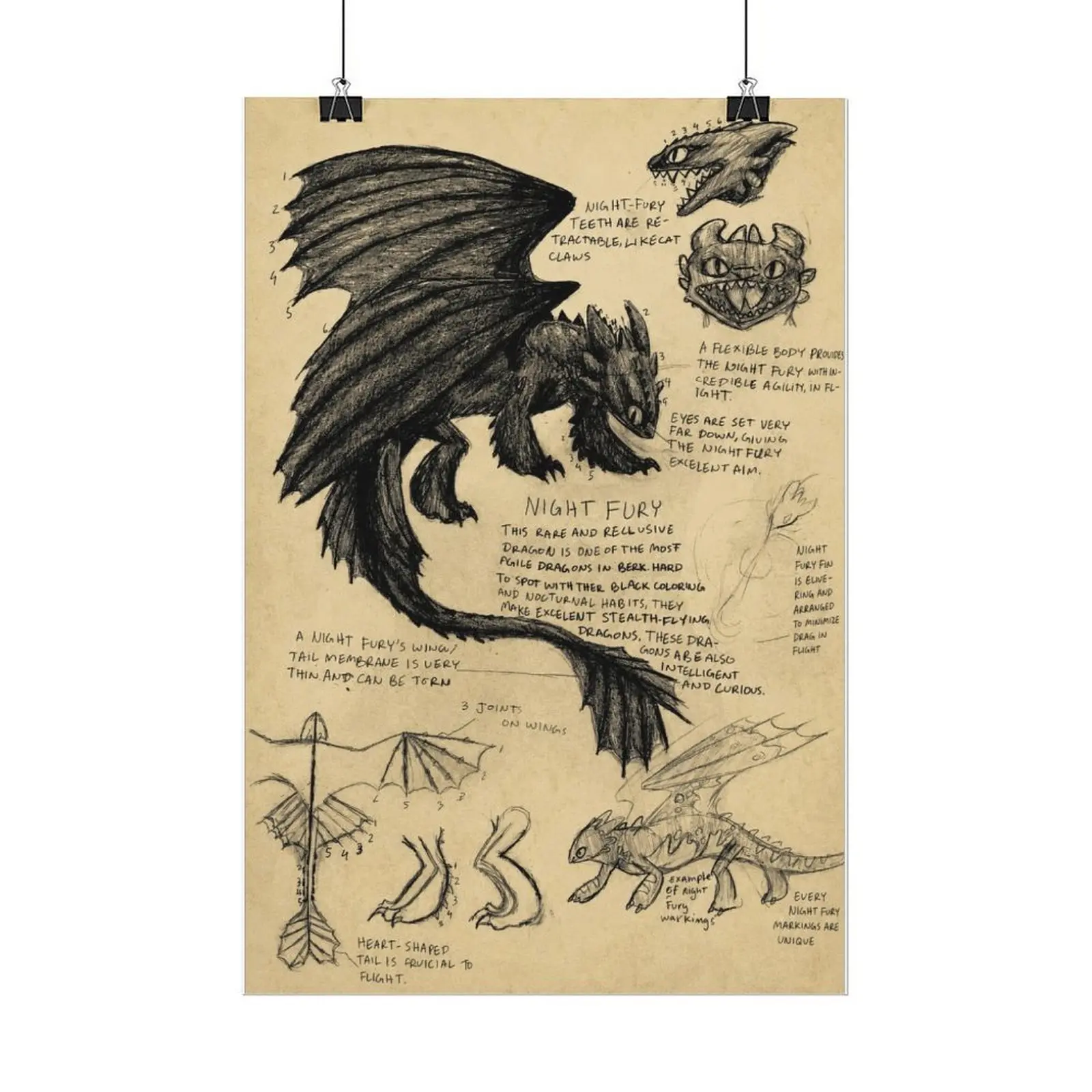 Toothless Night Fury Blueprint Sketch Canvas Print - How To Train Your Dragon Vintage Fantasy Cartoon Wall Poster, Home Decor, Bedroom Decor for Dorm & Game Room