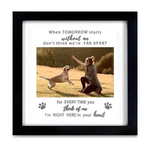 High Quality 9x9 Memorial Square Photo Frame with Kickstand - 4x6 in Insert, Comforting Message, High Definition Plexiglass, Room/Desk Decorations for Room, Pet Loss Memorial Gift for Dogs/Cats, Home Decor Keepsake with Display Function