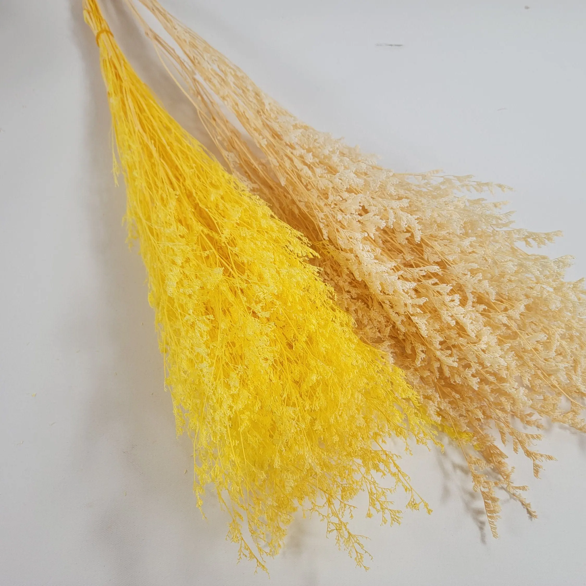 Preserved Caspia, Dried Flower Bouquet, Rustic Holiday Decor, Fall Arrangement Centerpiece,
