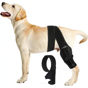 Dog Knee Brace for Torn ACL Hind Leg, Dual-Leg CCL Support with Vest Harness, 4 Metal Stabilizers, Hip Dysplasia & Luxating Patella Support, Vet-Recommended Rear Leg Brace for Dogs