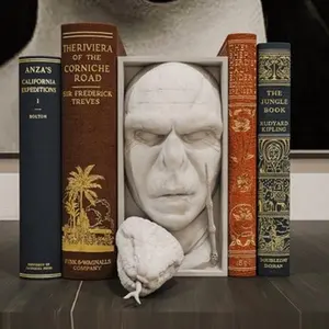 Voldemort Book Nook